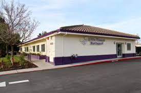 If you are familiar with the safari flowers toob, you know the little replicas are just absolutely beautiful. Little Flowers Montessori Fremont Stevenson Campus