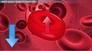 Similarly, what is the shrinking of cells in a hypertonic solution? Hypotonic Solution Examples Diagram What Is A Hypotonic Solution Video Lesson Transcript Study Com
