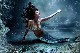 Image result for real mermaid