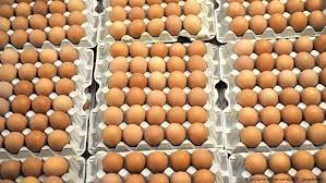 Cómo preparar unos huevos revueltos perfectos. Cadena Alemana Aldi Retira Todo Su Stock De Huevos Europa Al Dia Dw 04 08 2017
