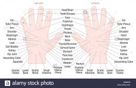 Hand Reflexology Zone Massage Chart With Areas And Names Of