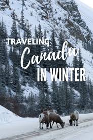 Taking My Mom To Canada A Dream Winter Trip To Alberta Camels Chocolate Travel Lifestyles Blog Winter Travel Canada Travel Canada Travel Guide