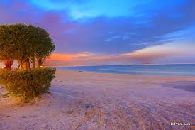 Book the most popular camel riding tours in doha. Guide To Amazing Beaches In Kuwait Nightlife And Amusement Places