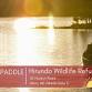 Sunset Paddle at Hirundo event image