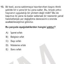 Osym Nin Yayimladigi Ornek Kitapciktan Bir Soru Cevabinizi Yoruma Bekliyorum Arkadaslarini Etiketle Onlara Da Meydan Oku Okuma Egitim Universite