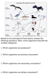 What is a tertiary consumer. Based On The Principles Of The Food Chains Answer Chegg Com