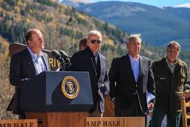 Image result for Bidens diversa