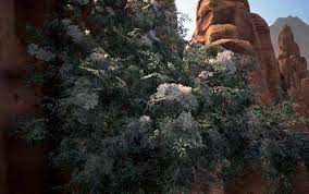 Find conan exiles in your steam library. Steam Community Guide Dye System Tutorial And Recipe Compendium