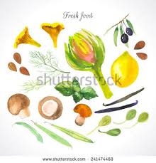 Monash S Portfolio On Shutterstock Watercolor Food Watercolor Illustration Painting Techniques