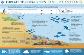 how does overfishing threaten coral reefs