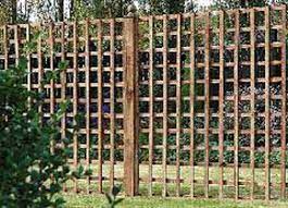 Strong support for growing plants: Heavy Duty Square Trellis 10 Ft Wide Jarrett Fencing