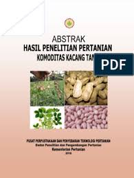 Akar adventif akan berubah menjadi akar serabut. Penelitian Komoditas Kacang Tanah