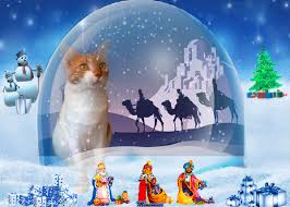 Image result for imagenes feliz dia de reyes magos