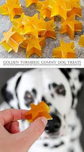 Golden Gummy Stars And Coconut Oil Snowman Dog Treats Dalmatian Diy Dog Cookies Diy Dog Treats Homemade Dog