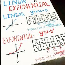 review linear and exponential functions with this anchor