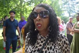 Dem Support Snowballs For Winter