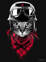  Adventurer Cat Essential T Shirt By Clingcling In 2021 Cat Posters Cat Art Print Cat Art