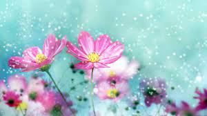 Pictures of beautiful flower bouquets. Cute Flower Wallpapers Top Free Cute Flower Backgrounds Wallpaperaccess