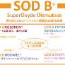 健食原料・OEM展2024、腐らないメロンから生まれた驚異の抗酸化酵素「SOD B」プレゼンテーションにて最新情報を ...