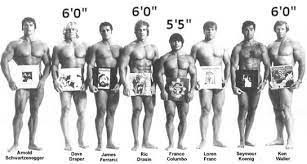 What Was Arnold Schwarzenegger S Real Name Quora