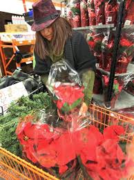 Black Friday shopping quiet but festive