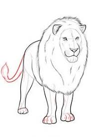 Auf Folgende Seite Finden Sie Eine Anleitung Fur Realistischen Lowe Der Lowe Zeichnen Schritt Fur Schritt Ist Ganz Lowe Zeichnen Tiere Zeichnen Katze Zeichnen