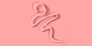 Things You Didnt Know About Lube - Lube Facts