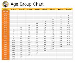 age group determination ballistic united