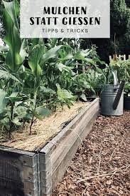 Richtig Mulchen Statt Giessen Mulchen Garten Bepflanzen Garten