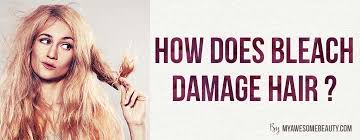 Bleaching will also cause the hair strand to weaken, so it will begin to snap off like a weak rubber band, causing hair to look thin and stringy. How To Repair Bleached Hair Fast And Safely