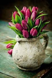 picture perfect petals photography おしゃれまとめの人気アイデア pinterest vera vishneveckaya 美しい花 チューリップの花 チューリップのブーケ