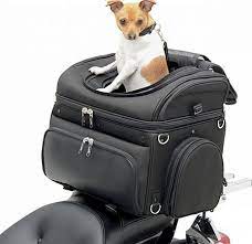 Pin En Pet Stuff Dog Cat