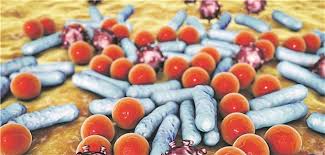 Diff often start after you've been taking antibiotics. Clostridium Difficile Lauert Auch In Der Notaufnahme