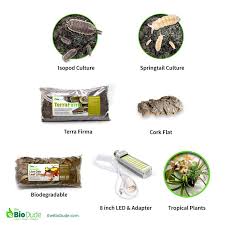 Ball Python Snake Bioactive Kit Ball Python Ball Python Care Ball Python Pet