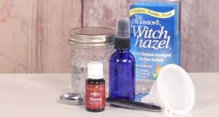 Diy Thieves Spray The Best All Natural Cleaner Mama Natural
