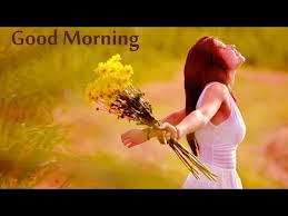 Good Morning Whatsapp Status Love Video Hindi Download Hd Quotes Romantic Song Video Song Youtube Wishing with good morning status to our dear one, lover and friends could be the great thing to begin a beautiful morning whatsapp status video song download in hindi. hd quotes romantic song video song