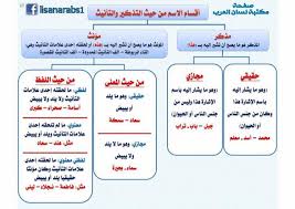 أقسام الاسم من حيث التذكير والتأنيث شرح مبسط مع الأمثلة شرح بالصور وتحميل Pdf Learn Arabic Language Arabic Language Arabic Alphabet For Kids