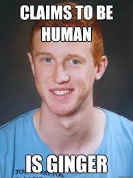 30 Ginger Memes That Are Way Too Witty Sayingimages Com Ginger Jokes Ginger Meme Ginger Humor