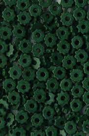 super flowers aesthetic dark green 31 ideas dark green aesthetic green aesthetic simple green