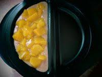 A Collection Of Recipes And Tips For Your Xpress Redi Set Go Indoor Grill Sandwich Maker Recipes Cooking Recipes Recipes