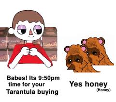 I Wonder What They Do With All Of Them Tags Animalcrossingmemes Acmemes Animal Crossing Memes Animal Crossing Animal Crossing Villagers