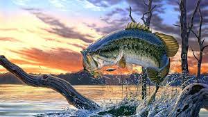 We did not find results for: Largemouth Bass Fishing Wallpaper Backgrounds Screensaver Bass Fishing Background 1680x1050 Wallpaper Teahub Io