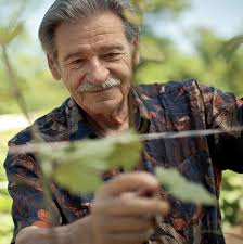 Château des Charmes: A Family-Owned Winery That Makes Award-Winning Icewine 