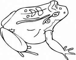 Maybe you would like to learn more about one of these? Frog And Toad Coloring Pages Hd Printable Coloring Pages Coloring Home