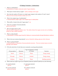 Macromolecule Expert Sheets