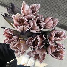 We did not find results for: Brownie Frill Tulips Tulips Arrangement Wholesale Flowers Flower Guide