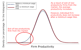 For the countries that have the minimum wage policy. Productivity Impacts Of Minimum Wage Hikes Vox Cepr Policy Portal