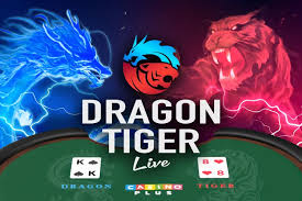Dragon Tiger at Casino Plus – Top Live Games Experience
