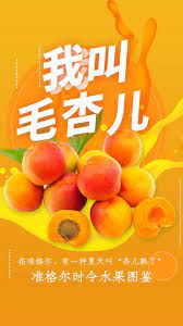 澎湃新闻
