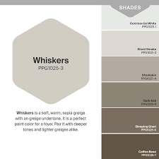 3 Whiskers Satin Interior Paint